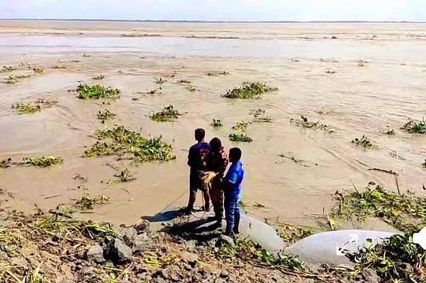 আড্ডা দিচ্ছিলেন পাঁচ বন্ধু, হঠাৎ মেঘনার তীর ধসে নিখোঁজ দুজন